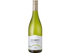 Via Condotto Verdicchio dei Castelli di Jesi (2023) - Cológnola - Tenuta Musone - Weißwein aus Italien