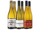 WirWinzer Select 2025 Weißwein Entdecker-Paket