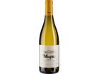 Muga Blanco (2025) - Bodegas Muga - Weißwein aus der Rioja, Spanien