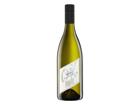 Weingut Pfaffl PRIMO Grüner Veltliner 0%