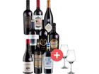 9er-Paket Weine des Jahres + GRATIS Schott-Zwiesel Gläser - Weinpakete