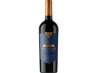 Flechas de los Andes Gran Malbec (2021) - Flechas de Los Andes (Ed. de Rothschild) - Rotwein aus Argentinien