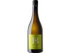Sauvignon Blanc Nussdorf (2024) - Emil Bauer - Weißwein aus der Pfalz, Deutschland