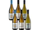 6er Paket Grauburgunder Favoriten inkl. Emil Bauer Grauburgunder - Weinpakete