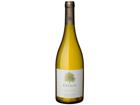 Bodega Atamisque „Catalpa“ Chardonnay