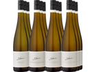 12er-Probierpaket »Weingut A. Diehl«