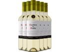 2025 Casillero del Diablo Reserva Sauvignon Blanc im 6er-Vorratspaket