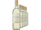 2024 Albinoni Pinot Grigio im 6er-Vorratspaket