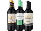 6er-Probierpaket »Edles aus Spaniens Weinwelt«