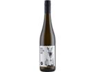 Street Cat Silvaner 2024