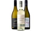 3er Probierpaket Sauvignon Blanc Neuseeland