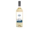 Andeluna 1300 Torrontes 2025