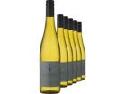 2025 HANSEN »Signature Collection« N°1 Riesling im 6er-Vorratspaket