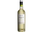 Cuatro Rayas Camino del Sur 2025 0.75L 13% Vol. Weißwein Trocken aus Spanien