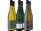 6er-Probierpaket »Riesling-Reise Deutschland«