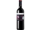 Viejo Feo Reserva Merlot, Valle de Maule, Vino de Chile, 2022, Rotwein