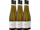 6er-Probierpaket »Weingut A. Diehl«