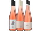 6er-Probierpaket »Deutsche Rosé-Lieblinge«