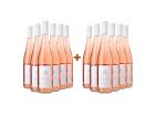 WirWinzer Select 2024 6+6 Paket Farbenspiel Rosé