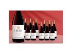Laseia Syrah 2025 9L 13.5% Vol. Weinpaket aus Spanien