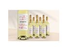 Quietus Verdejo 2025 7.5L 12.5% Vol. Weinpaket aus Spanien