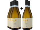 4+2-PAKET Mandrarossa Grillo 2025
