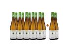 WirWinzer Select 2021 Großes Riesling Junge Reben-Paket