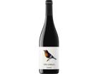 Garnacha 2025 - Viña Zorzal
