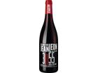 Familia Torres 2023 Jean Leon 3055 Merlot Petit Verdot BIO