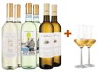 WirWinzer Select Italien Sommergenuss mit gratis Gläsern