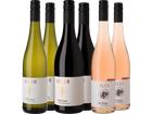 Weingut Idler Weingut Idler Kennenlern-Paket BIO