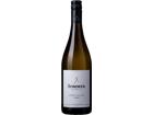Sommer Grüner Veltliner Schiefer BIO Leithaberg DAC SCHULER 1694 - 2024 - Burgenland, Österreich