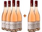 Weingut J. Neus 4+2 Paket Rosé 1881 VDP.Gutswein BIO