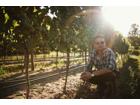 Wine-Dining mit Winzer Vincent Eymann (Pfalz) in Gottfried Pachers Zu Tisch