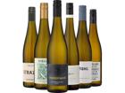6er-Probierpaket »Sauvignon Blanc aus Deutschland«