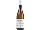 Vini Vannelli Bianco, Roma DOC, Latium, 2024, Weißwein