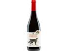 San Martín de Unx Foxcon, Navarra DO, Navarra, 2025, Rotwein