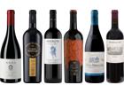 Rioja Premium Verkostungsset