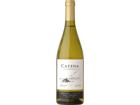 Catena Chardonnay - 2024