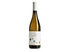 isaì Sauvignon Lazio Igt 2024 - 13%. Vol, 0.75LIT