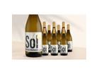 Sol Dorado Malvasía 2025 7.5L 13% Vol. Weinpaket aus Spanien
