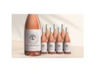 La Orphica Selección Sintonia Rosado 2025 6L 12.5% Vol. Weinpaket aus Spanien