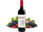 Quinta do Castelo Vinha do Baco Tinto, Douro DOC, Douro, 2024, Rotwein