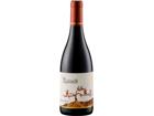 Domaine Gassier Nostre Pais Rouge – Bio