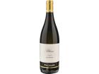 Sauvignon Blanc Langhe DOC Pio Cesare - 2023 - Piemont, Italien