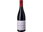 Cara Nord Negre Tinto Cosecha Cara Nord Celler - 2016 - Katalonien, Spanien