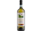 Langhe Sauvignon DOC Matteo Correggia - 2020 - Piemont, Italien