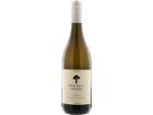 Sauvignon Blanc Stony Brook - 2022 - Coastal Region, Südafrika