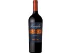 Famiglia Malbec Valentin Bianchi - 2021 - Mendoza, Argentinien