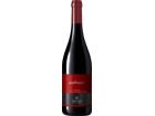 Gaglioppo Calabria IGT Cantine Statti Lamezia Terme - 2023 - Kalabrien, Italien